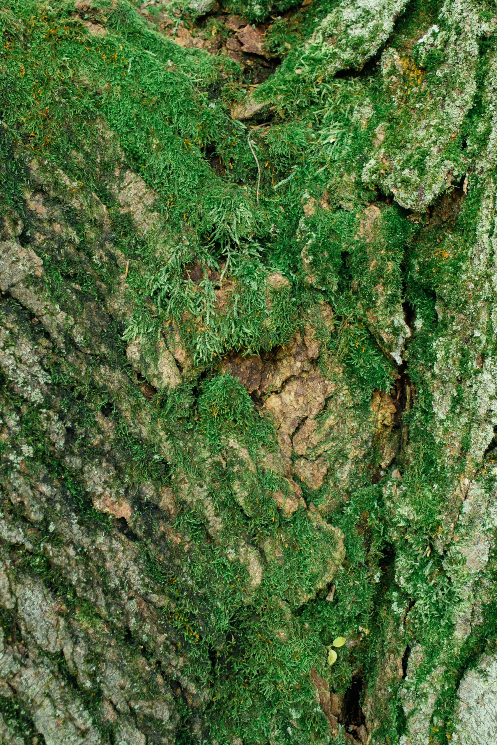 Psykologhjælp Specialpsykolog autoriseret psykolog Ribe Esbjerg børn unge forældre og voksne 
forældresamtaler og vejledning
supervision